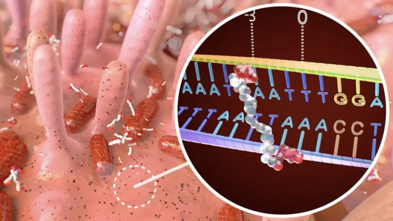 رؤوس حربية بكتيرية: كيف تدمر جراثيم الأمعاء حمضنا النووي؟