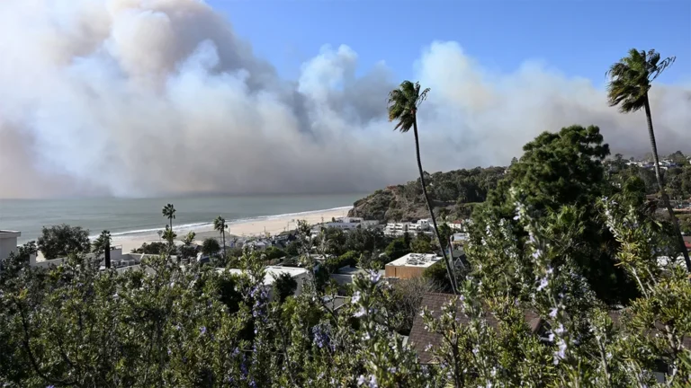 رماد لوس أنجلوس السام: كيف تسمم الحرائق مياه المحيط الهادئ؟