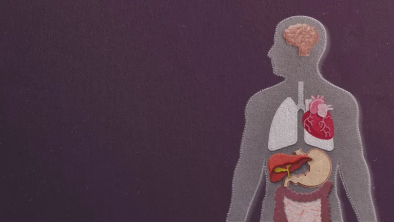 عمرك الحقيقي ليس في الهوية: أعضاؤك تشيخ بتواقيت مختلفة