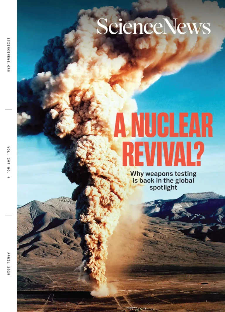 بين بيولوجيا الجنس وبلاستيك الدماغ: العلم يكمن في التفاصيل