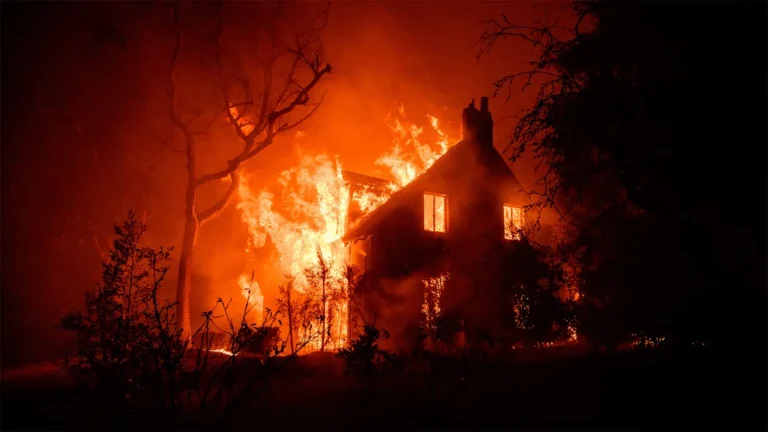 حين يصبح المنزل وقوداً: استراتيجيات علمية لصد حرائق الغابات